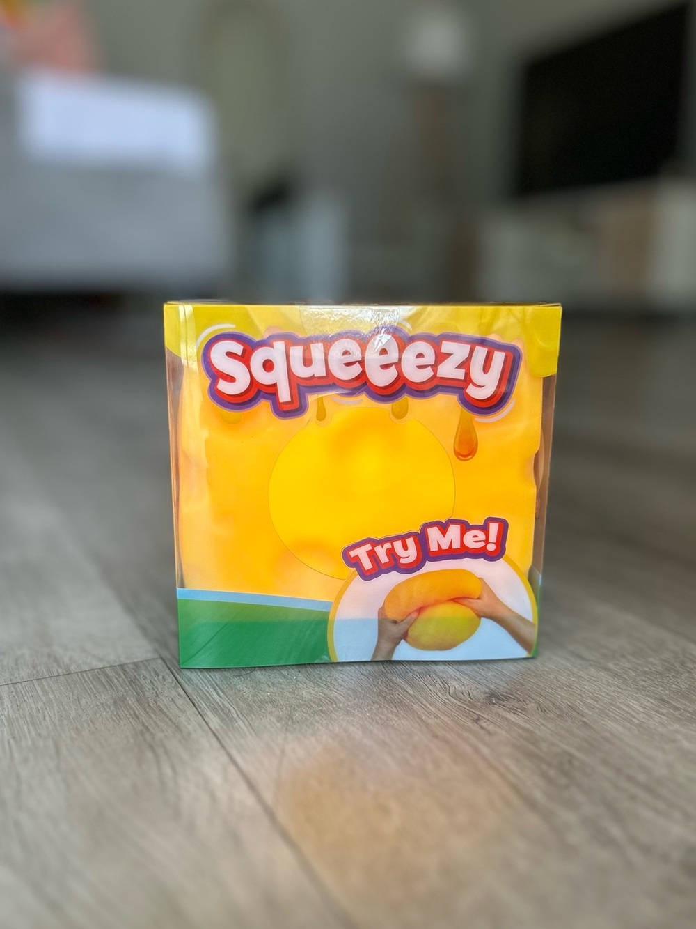 Sunny Days Squeezy Cheese Squishy